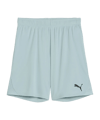 PUMA teamGOAL Korte broek Kids Groen K41 
