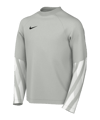 Nike Park V Trikot langarm Kids Grau F097
