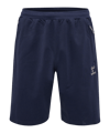 Hummel Move Grid Cotton Short Blau F7026