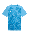 PUMA TeamFINAL Trikot Blau F18