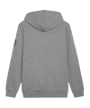 PUMA AC Mailand ftblICONS Kapuzenjacke Grau F12 - grau