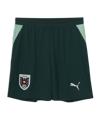 PUMA ÖFB Autriche Court Away CM 2026 Enfants Vert C04
