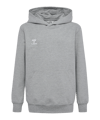 Sweat à capuche Hummel GO 2.0 enfant gris F2006 