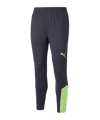 PUMA individualFINAL Trainingshose Blau F47