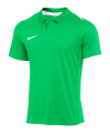 Nike Academy Pro 24 Poloshirt Grün F329