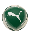 PUMA SK Rapid Wien Icon Ball Grün Weiss F01 - gruen