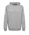 Hummel Cotton Hoody Kids Grau F2006