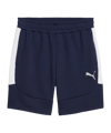 PUMA teamEVOSTRIPE Short Blau F06
