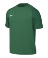 Nike Academy II Maillot Vert C302