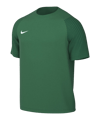 Nike Academy II Maillot Vert C302
