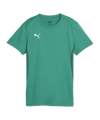 PUMA teamGOAL Trikot Damen Grün F05