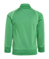 adidas Originals Adicolor Trainingsanzug Kids Grün - gruen