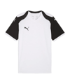 PUMA teamFINAL26 Knit Shirt Wit K04 