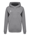 Hummel Authentic Pl Felpa bambini grigio F2006 