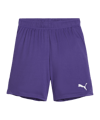 PUMA teamGOAL Court Enfants Violet C10 