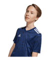 adidas Team Icon 25 Trikot Kids Blau - blau