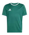 adidas Entrada 26 Maglietta Kids Verde 