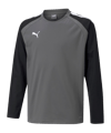 Sweat PUMA teamLIGA Enfants Gris F13 
