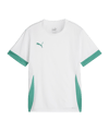 PUMA teamGOAL Matchday Trikot Kids Weiss Grün F15