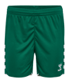 hummel Core 2.0 Korte broek Dames Groen K6131 