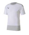PUMA TeamGOAL 23 Training Shirt Wit F04  