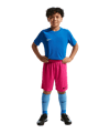 Nike Park III Short Kids Rosa F616