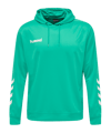 Hummel Promo Poly Hoody Blauw F6507  