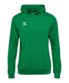 Hummel AUTHENTIC PL Sweat à capuche vert F6235 