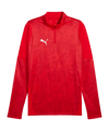 PUMA teamCUP Training 1/4 Zip Sweatshirt Rot F01