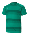 PUMA TeamVISION Shirt Kids Groen F05  