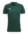adidas Condivo 22 maglietta verde  