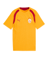 PUMA Galatasaray Istanbul Training Maillot Enfants Orange C07