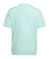 adidas Team Icon 23 Trikot Türkis - tuerkis