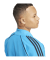 adidas Originals Adicolor SST Tracktop Blau - blau
