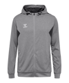 Hummel Authentic Pl giacca con cappuccio  grigio F2006