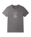 Galatasaray Istanbul 5 Stars T-shirt Grigio 