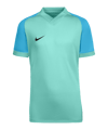 Nike Trophy VI Trikot Kids Grün F354