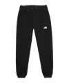 The North Face Icon Hose Damen Schwarz - schwarz
