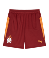 PUMA Galatasaray Istanbul Pocket Training Pantaloncini Rosso C01