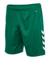 Hummel Core XK Poly Short Grün F6140