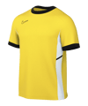 Nike Academy 25 Trainingsshirt Geel K719 