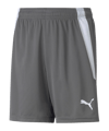 PUMA teamLIGA Pantaloncini Kids Grigio C013 
