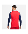Nike Atletico Madrid Drill Top Rot F680 - rot