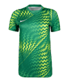 Nike Gardien VI Torwarttrikot Damen Grün F324