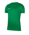 Nike Park 20 T-Shirt Kids Grün F302