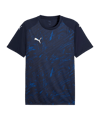 PUMA teamFINAL Graphic Trikot Blau F06