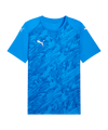 PUMA teamFINAL Graphic Trikot Blau F02