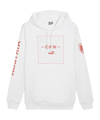 PUMA Österreich Ftbl Icons Hoody Weiss F09 - weiss