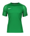 Nike Academy Shirt Groen Wit F302  