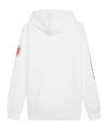 PUMA Österreich Ftbl Icons Hoody Weiss F09 - weiss
